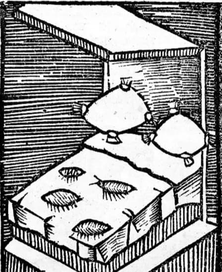 Hortus Sanitatis, 1491